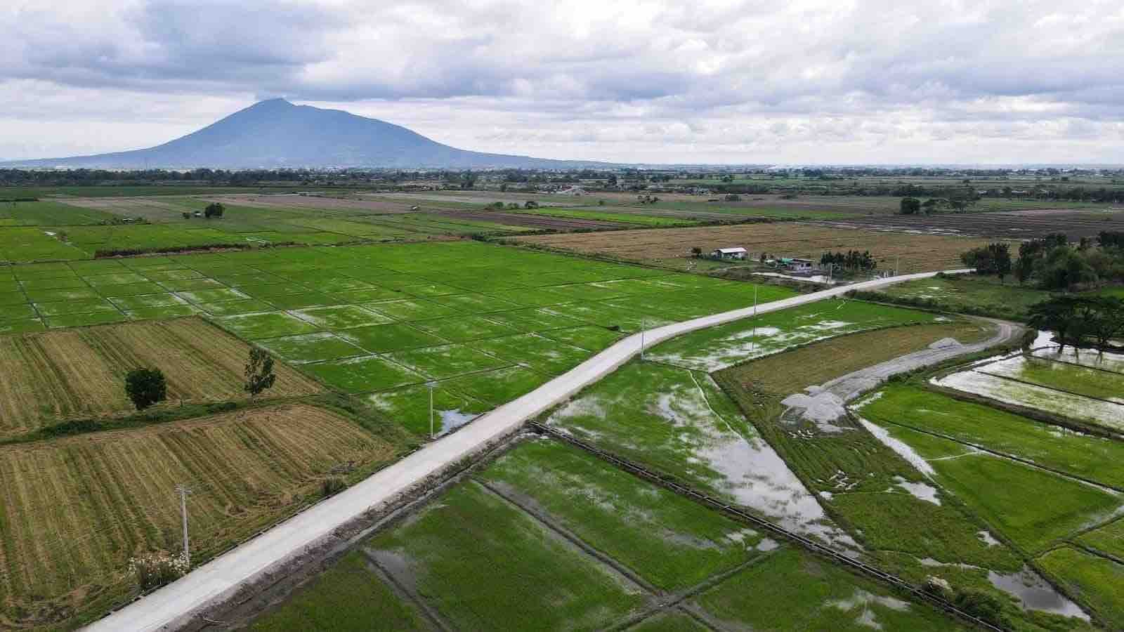 Dpwh Completes Farm To Mill Road In Tarlac The Voice Newsweekly